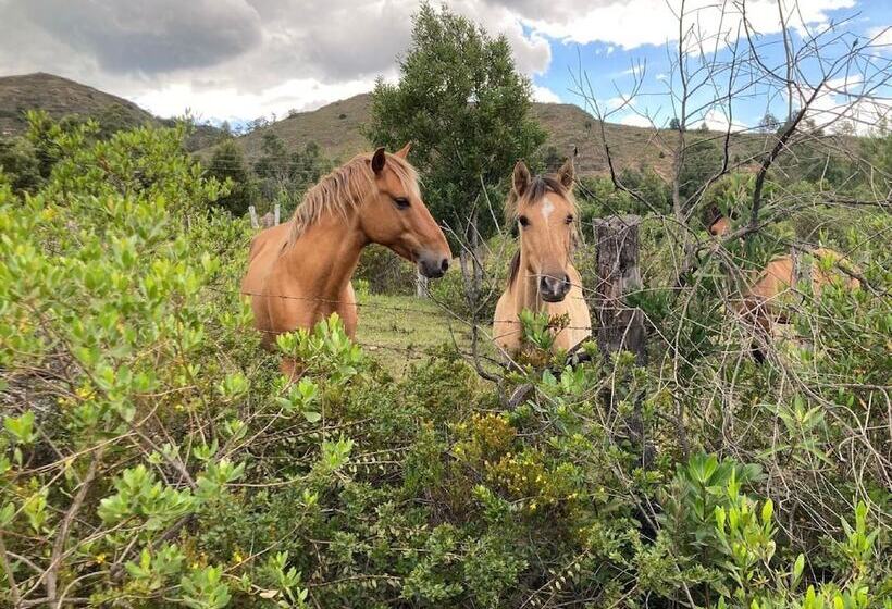 Отель Ráquira Silvestre Lodge