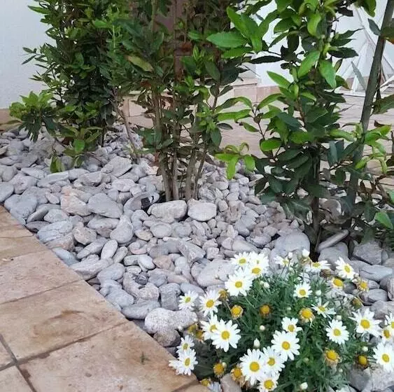 اقامتگاه Casa Vacanze Senia Del Rais