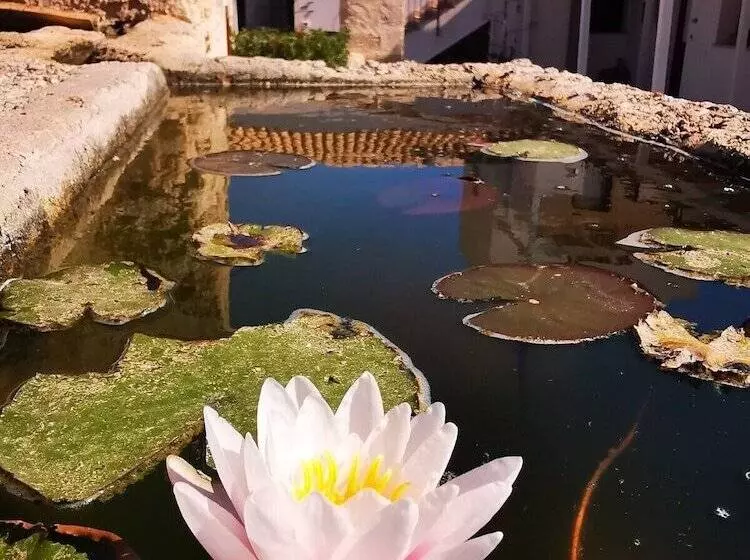 اقامتگاه Casa Vacanze Senia Del Rais