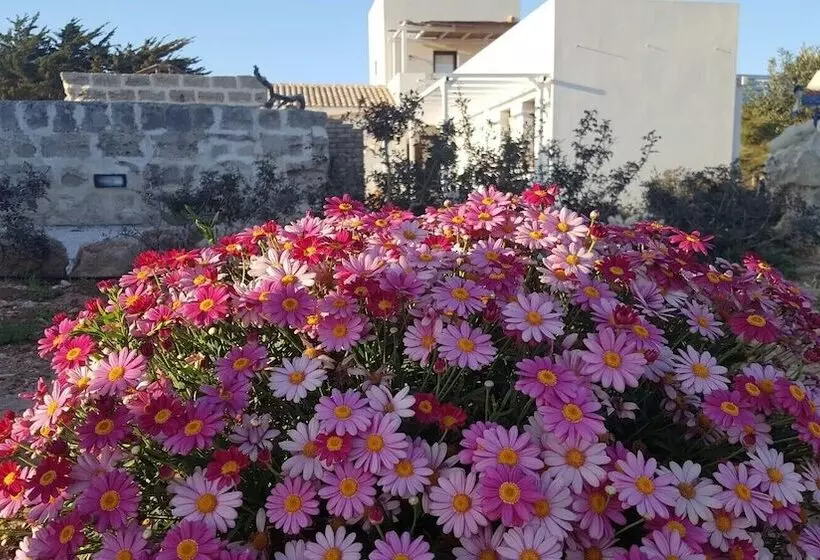 اقامتگاه Casa Vacanze Senia Del Rais