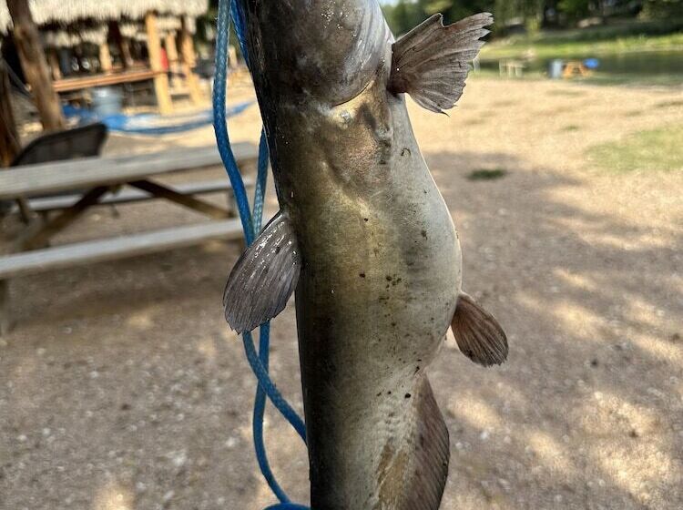 13 Blue River Camp Glamping Cabin