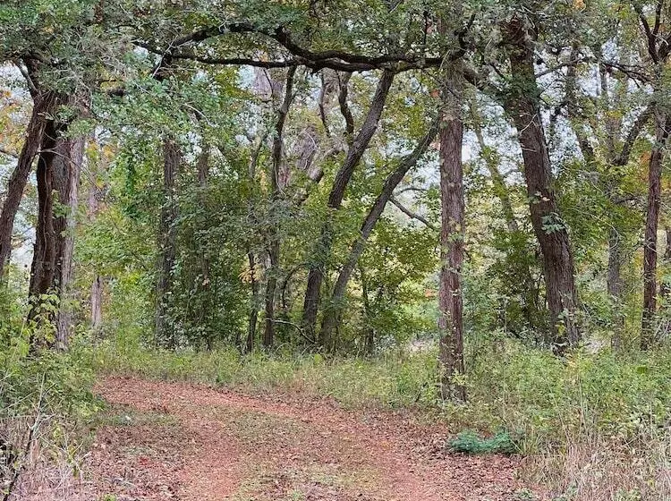 19 Son S Rio Cibolo   Birdhouse Cabin