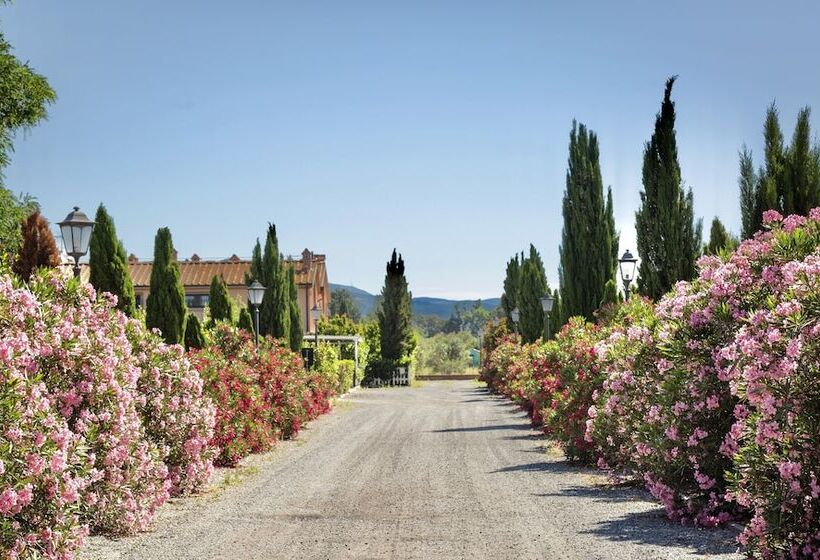 Residence Con Piscina A Vada A.c Wifi