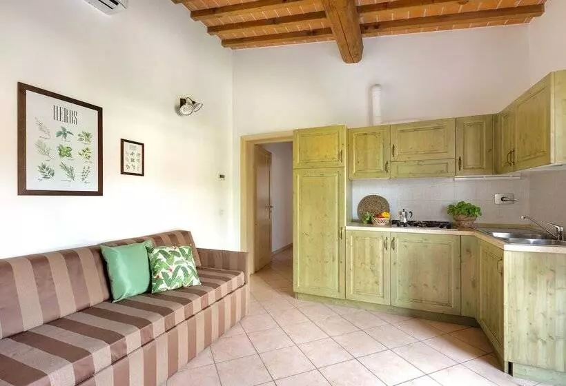 Residence Con Piscina A Vada A.c Wifi