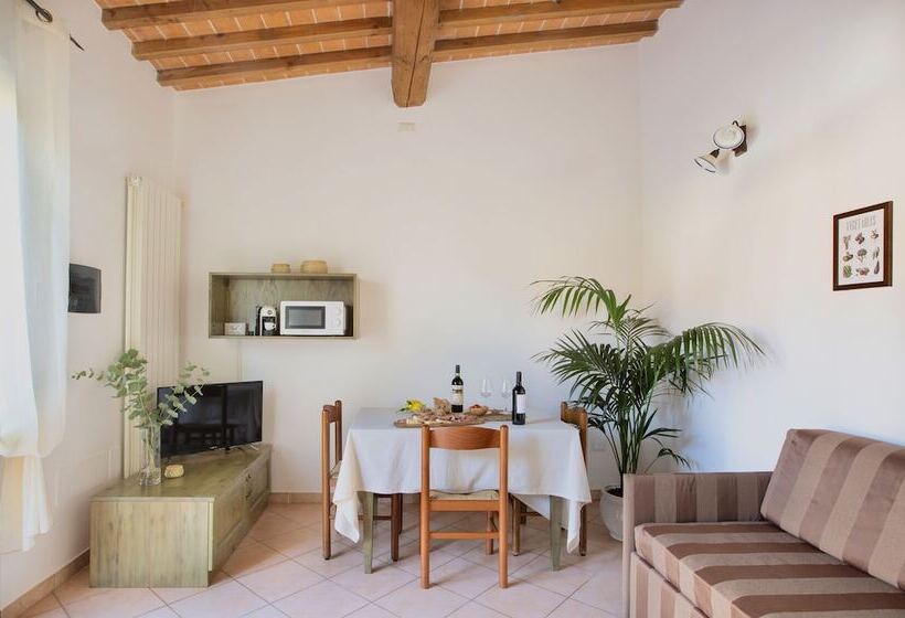 Residence Con Piscina A Vada A.c Wifi