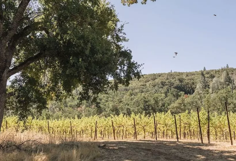 リゾートホテル Huttopia Wine Country