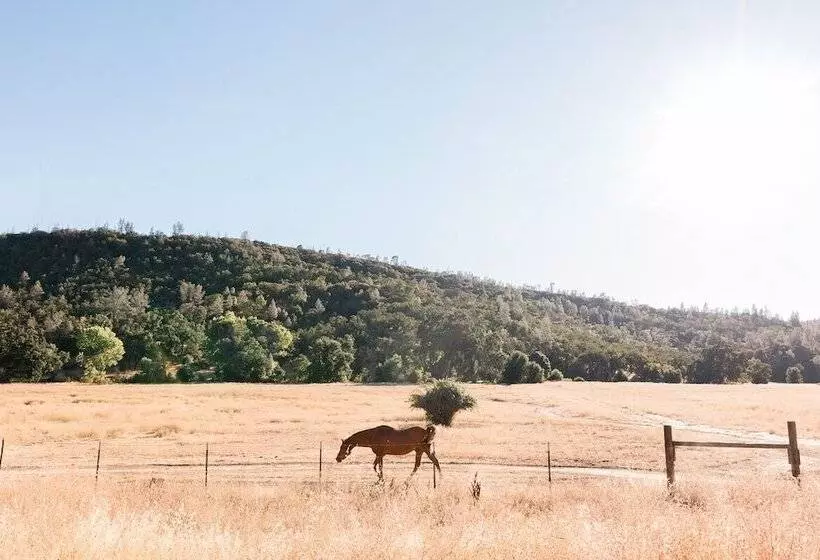 リゾートホテル Huttopia Wine Country
