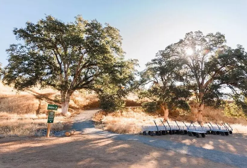 リゾートホテル Huttopia Wine Country