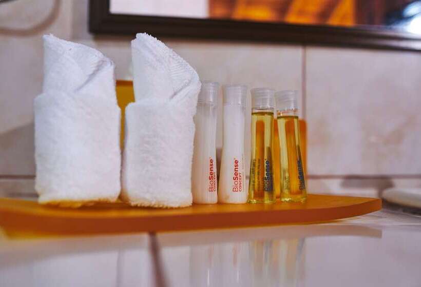 ホテル Arenal Roca Lodge