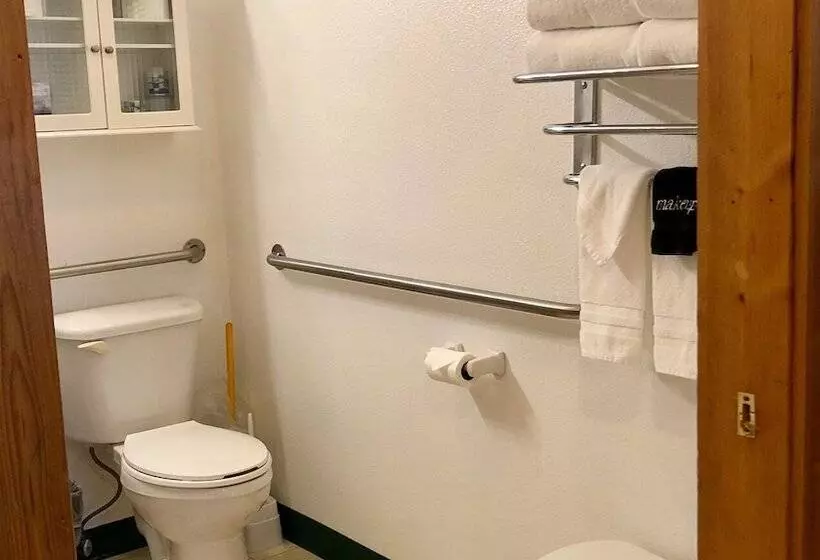 ホテル Lodge Suites