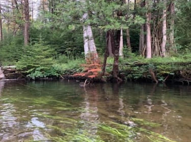 فندق على الطريق Fireside Lodge