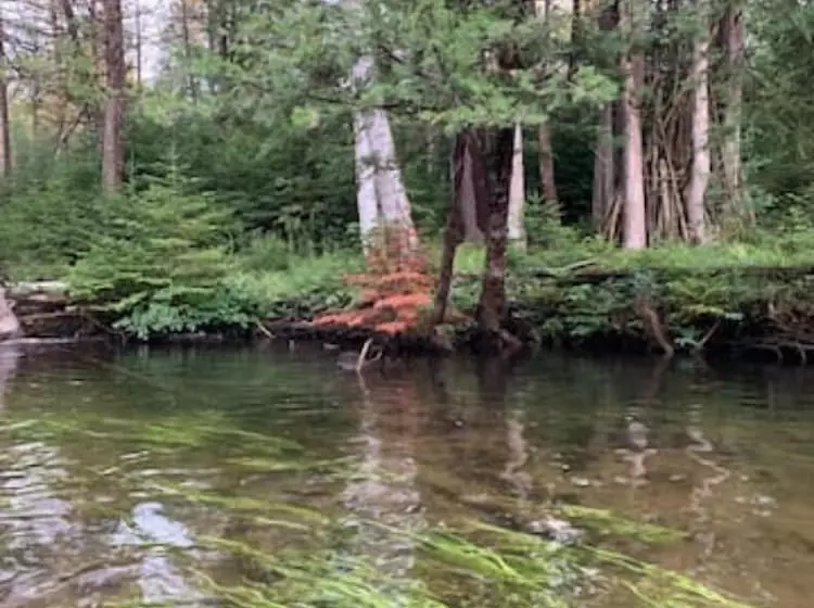 Motelli Fireside Lodge