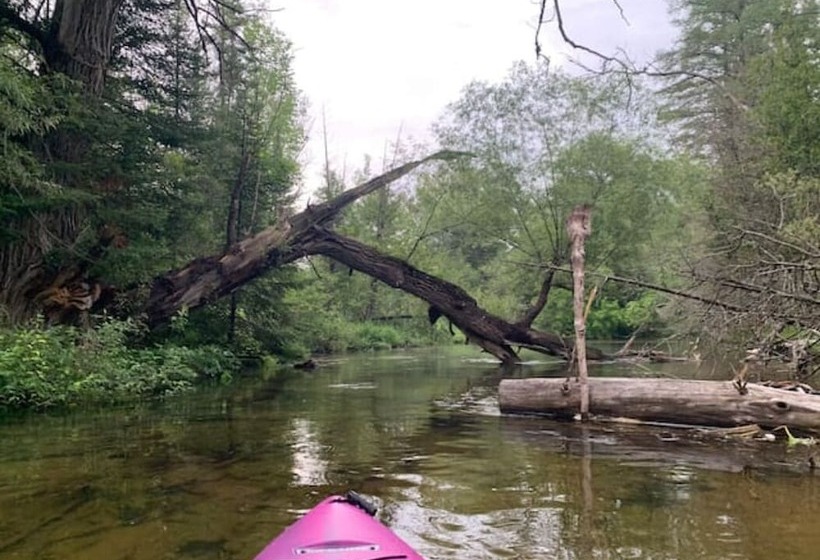 فندق على الطريق Fireside Lodge