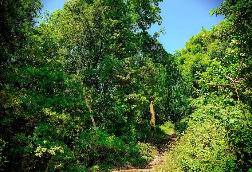 Pensjonat Timbertop Suites