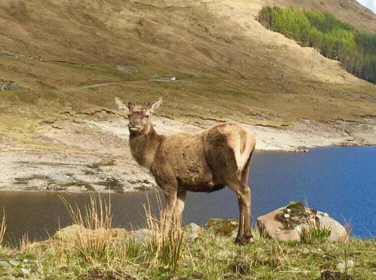 إقامة Lovely House Near Loch Ness In Scotland, Uk