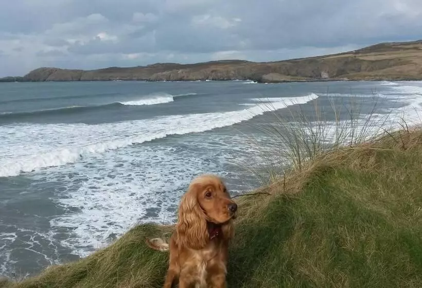 Beautiful 3 Bed Cabin In Pembrokeshire Coast