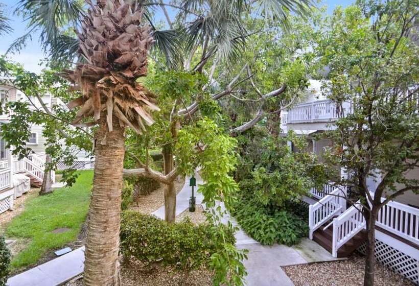 Coral Garden By Avantstay Great Location W/ Balcony & Shared Pool