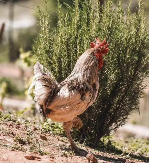 Eco Hotel Cueva Del Gato