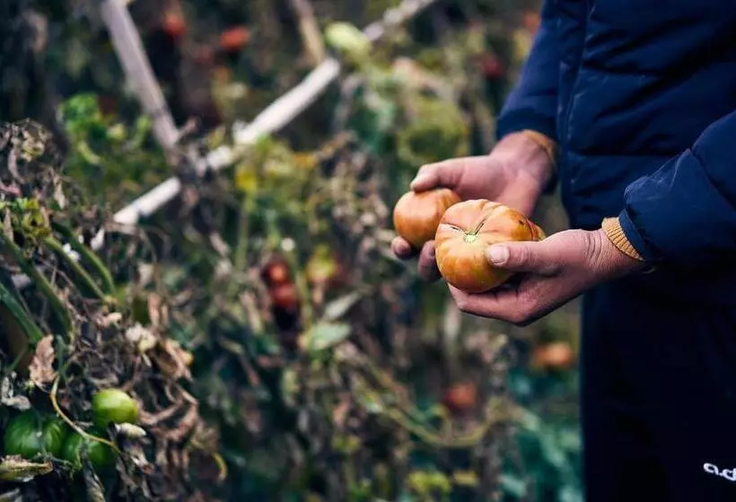 Eco Hotel Cueva Del Gato