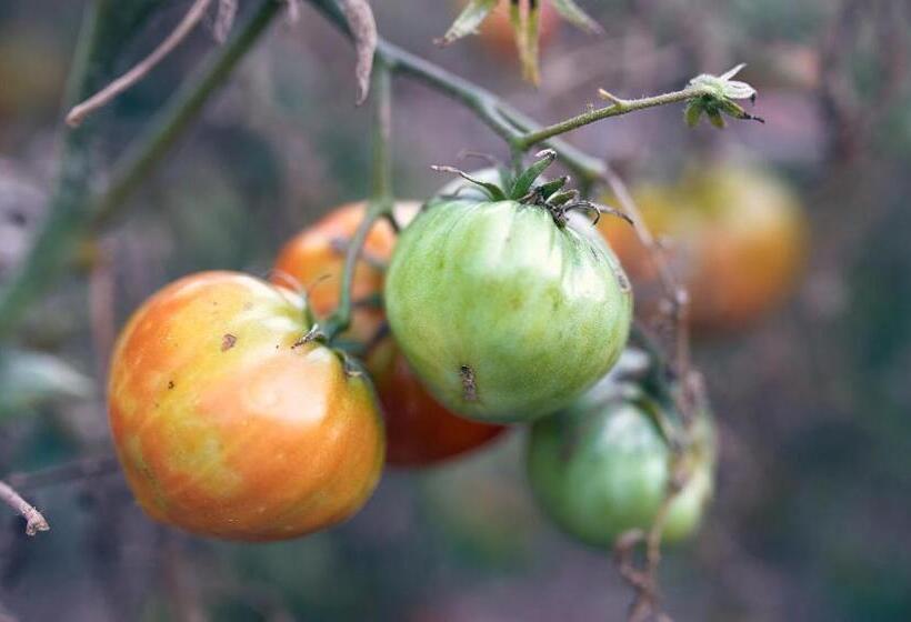 Eco Hotel Cueva Del Gato