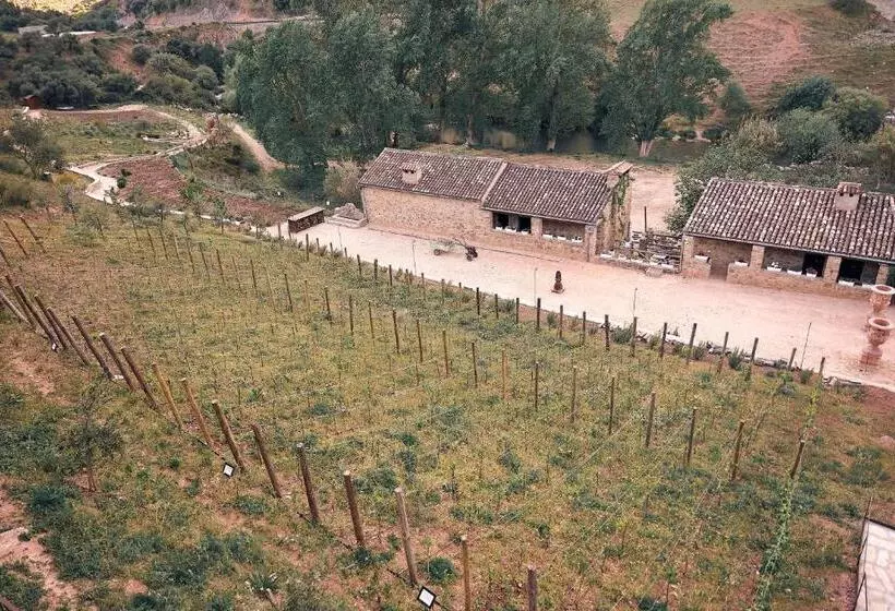 Eco Hotel Cueva Del Gato