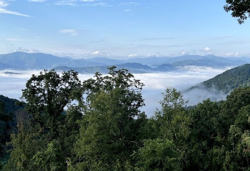 酒店 The Glamping Collective