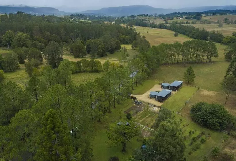Majatalo Contained In Nimbin