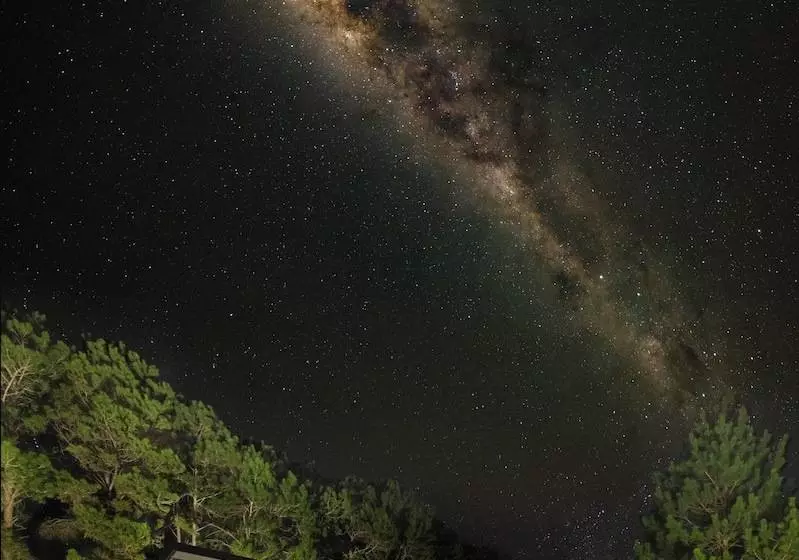 Majatalo Contained In Nimbin