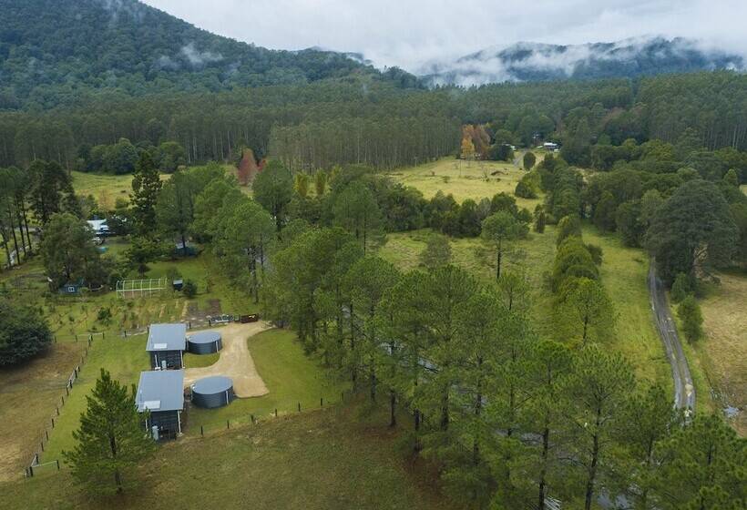 Pensjonat Contained In Nimbin