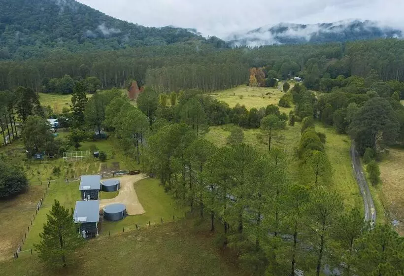 Majatalo Contained In Nimbin