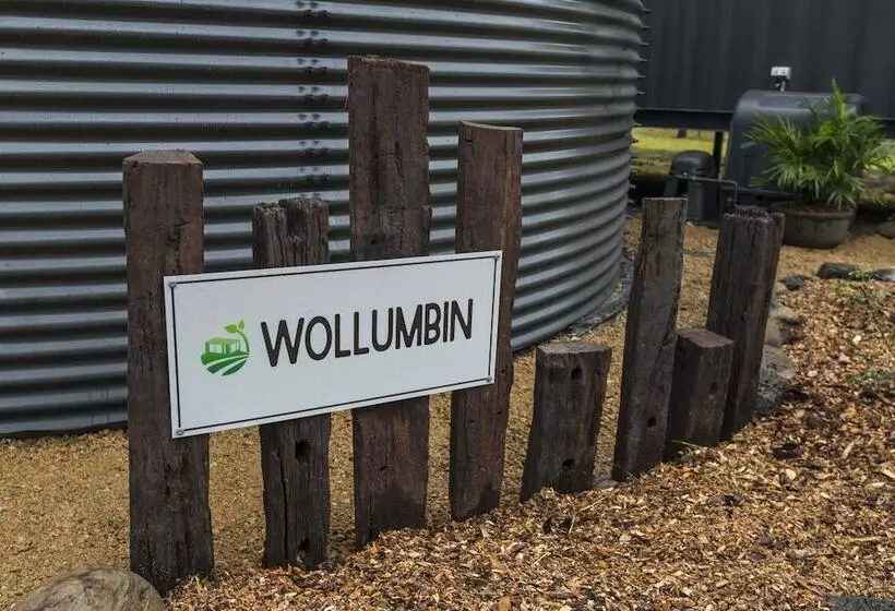 Majatalo Contained In Nimbin