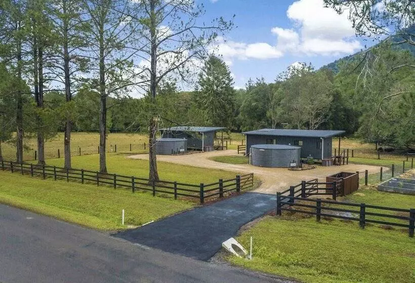 Majatalo Contained In Nimbin