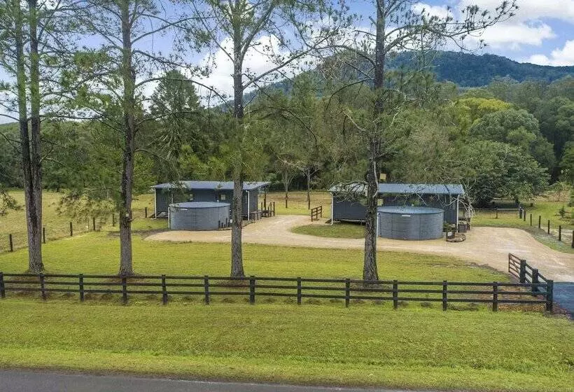 Majatalo Contained In Nimbin