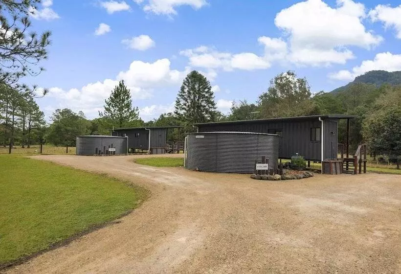 Majatalo Contained In Nimbin