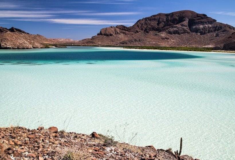 Residence Las Flores