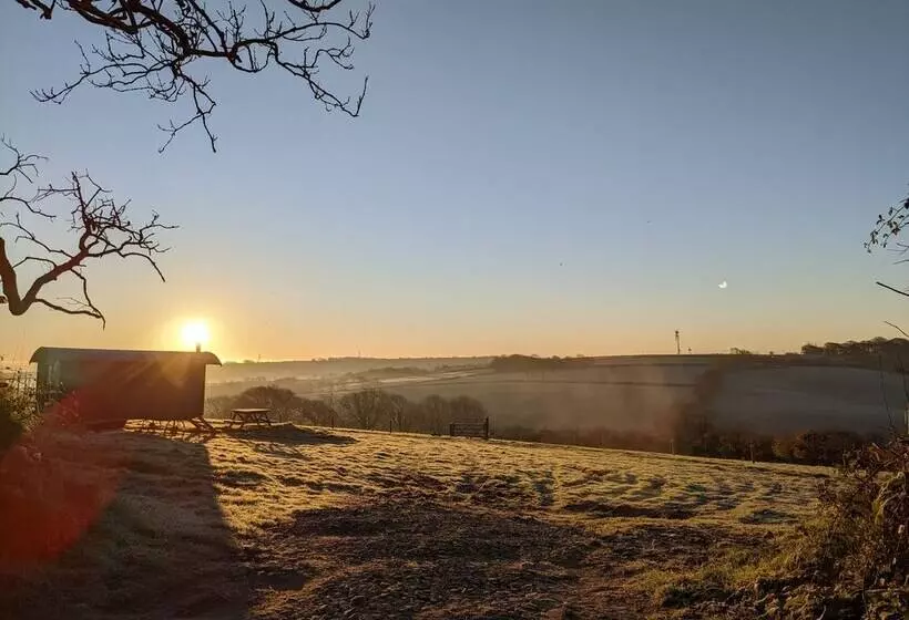 Stunning Shepherd S Hut Retreat, North Devon
