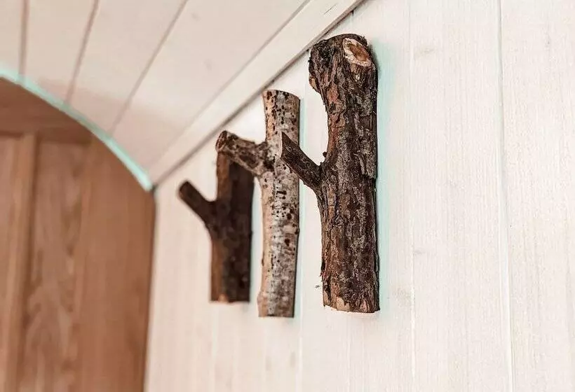 Stunning Shepherd S Hut Retreat, North Devon