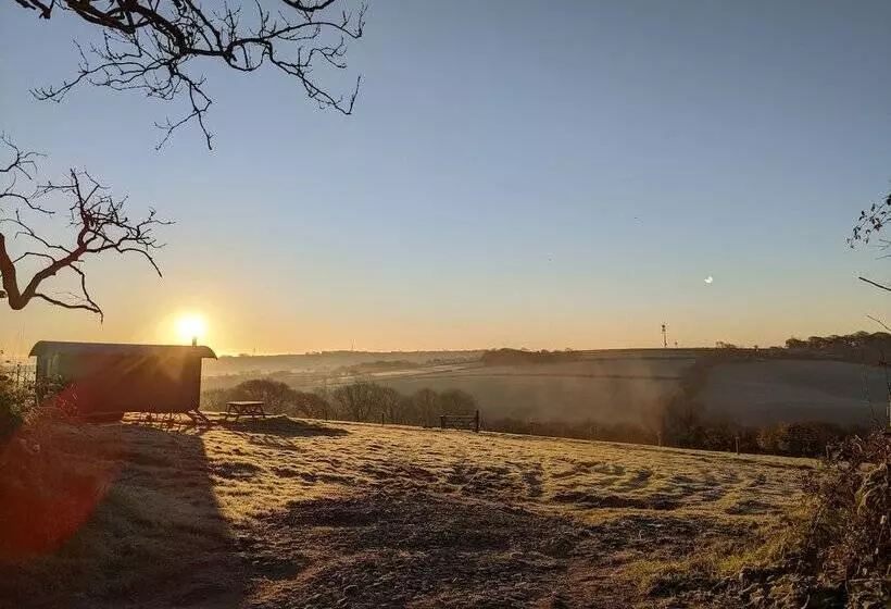 Stunning Shepherd S Hut Retreat, North Devon