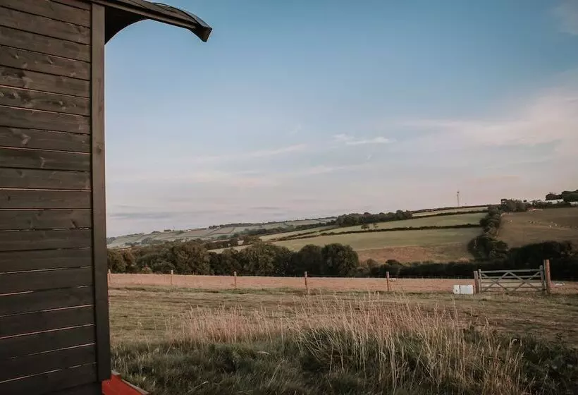 Stunning Shepherd S Hut Retreat, North Devon