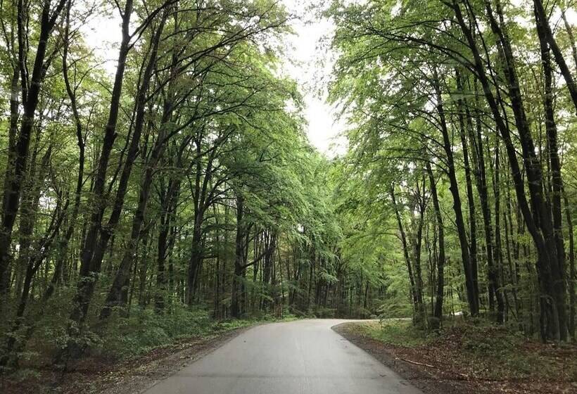 Beautiful Wooden Cottage In Nature, Croatia