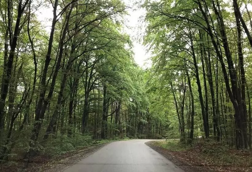 Beautiful Wooden Cottage In Nature, Croatia
