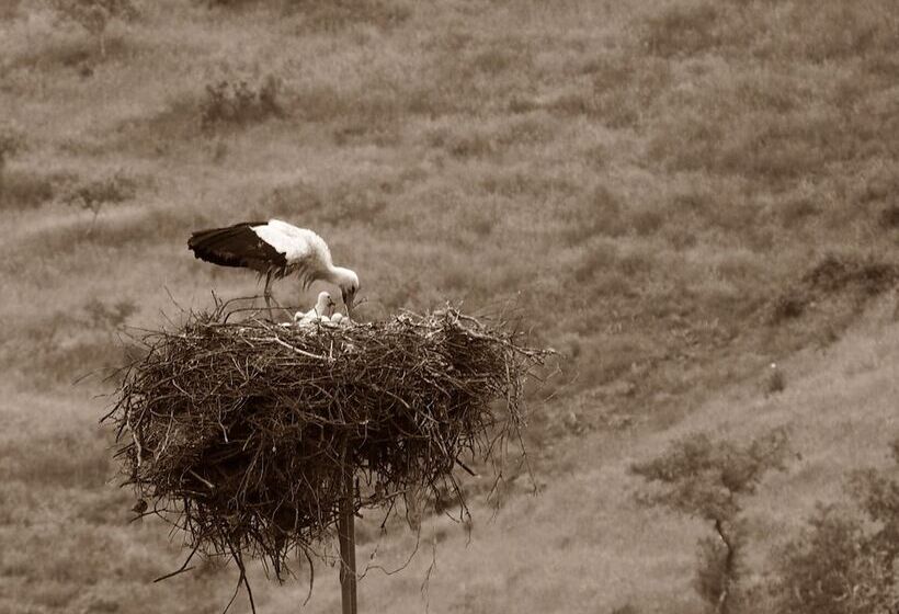 Casas De Campo Do Castro Da Cola