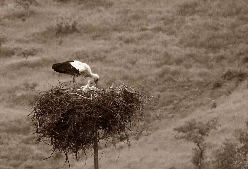 Casas De Campo Do Castro Da Cola