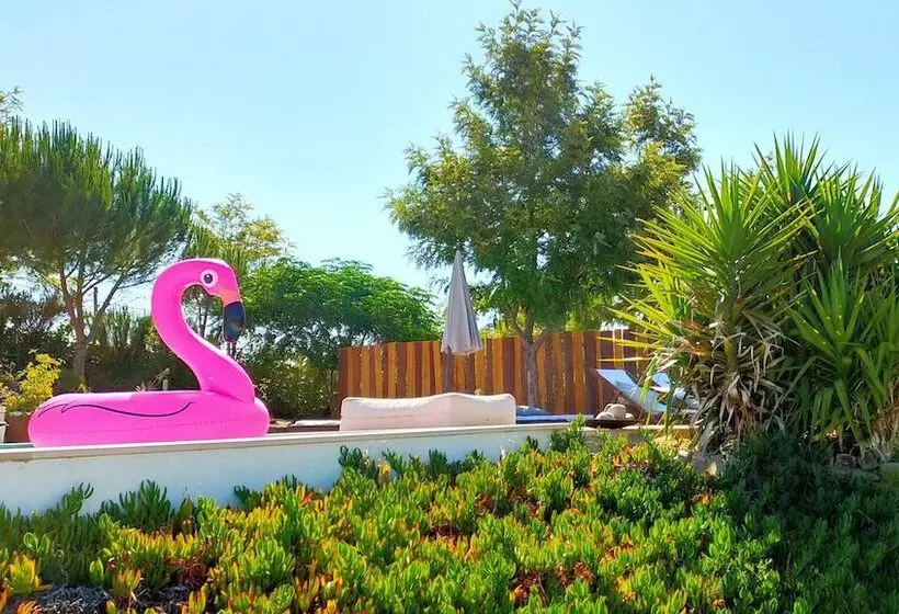 Casas De Campo Do Castro Da Cola