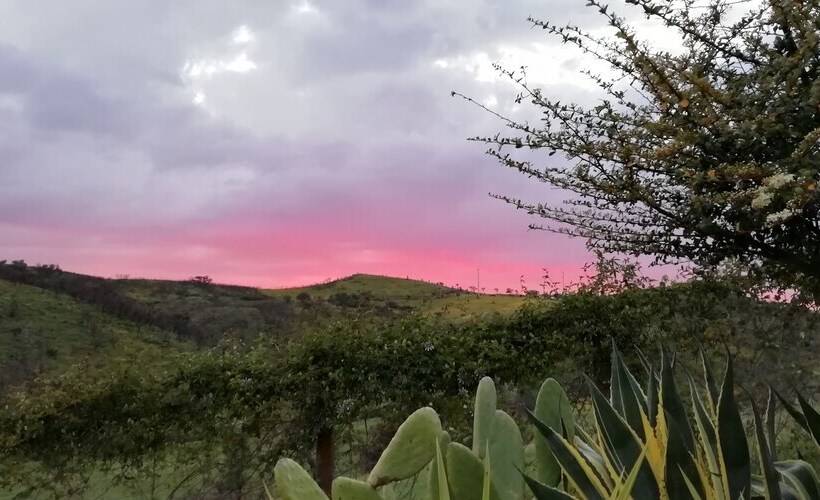 Casas De Campo Do Castro Da Cola