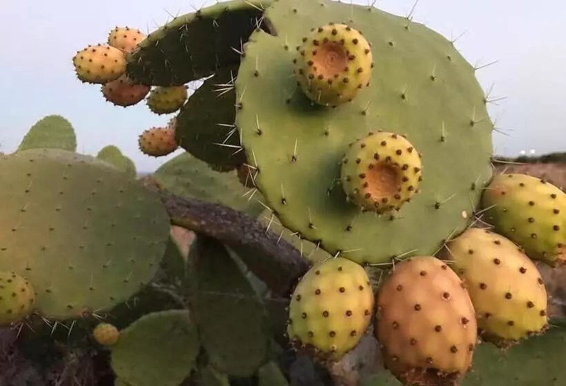 Hostelli Sbarcatore Dei Turchi   Dimore