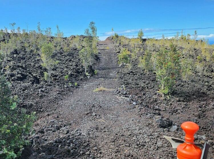 ホテル Dry Camping Oceanview Bring Camping Gear