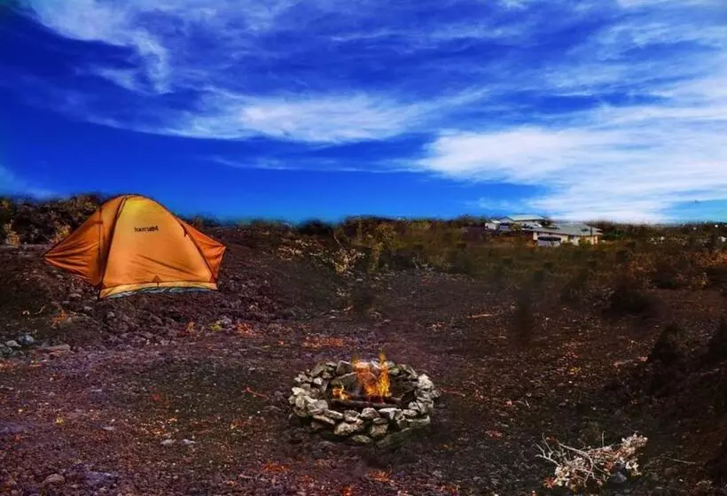 Hotelli Dry Camping Oceanview Bring Camping Gear