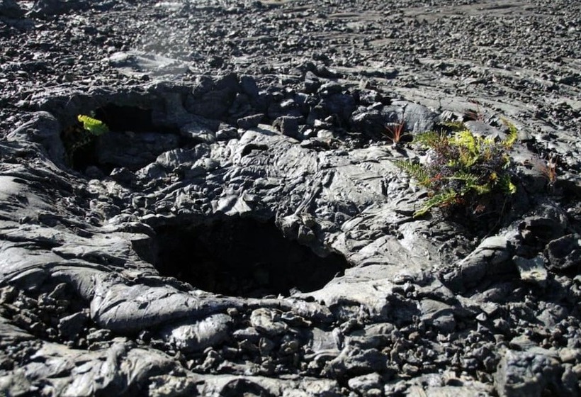 ホテル Dry Camping Oceanview Bring Camping Gear