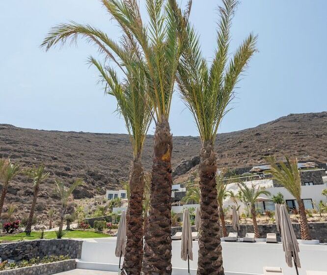 Hotel Palm Island Suites